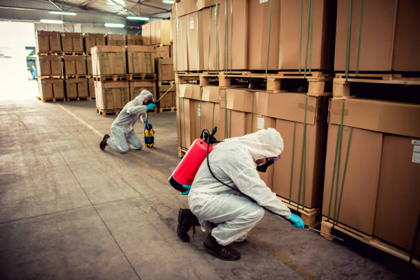 Best Pest Control Near Me  in Coal City, IL