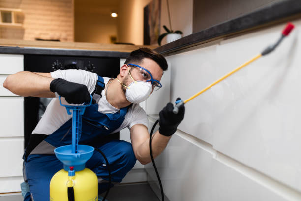 Trusted Coal City, IL Pest Control Experts