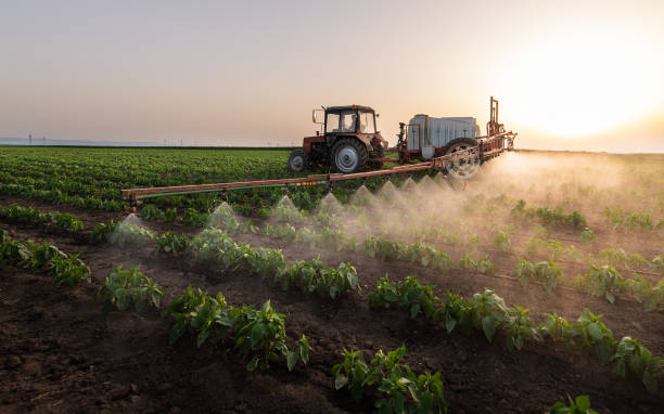 Best Pest Control for Businesses  in Coal City, IL