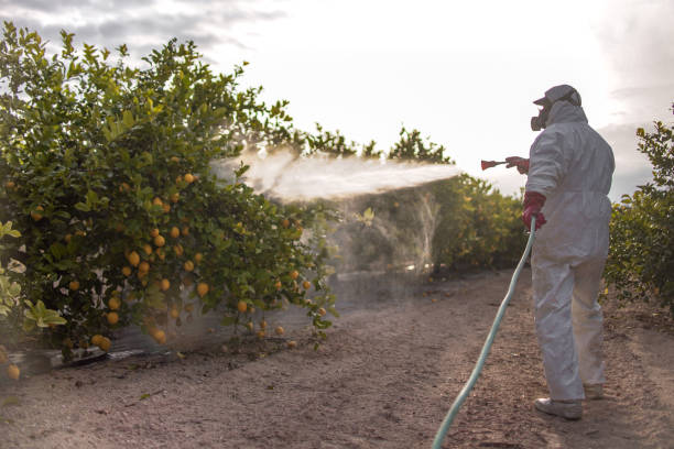 Best Flea Control Services  in Coal City, IL