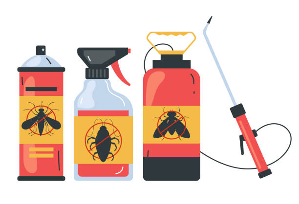 Trusted Coal City, IL Pest Control Experts