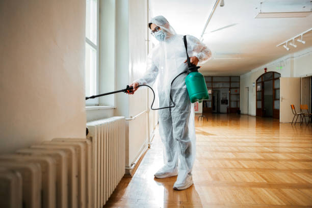 Best Affordable Pest Control Services  in Coal City, IL